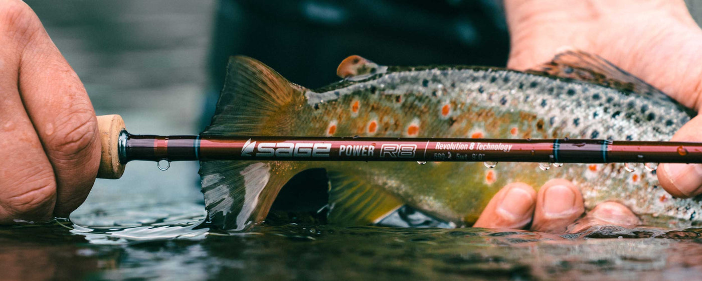 Sage Power R8 Fly Fishing Rod Review