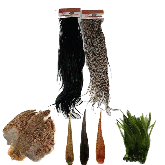 Hackles and Feathers