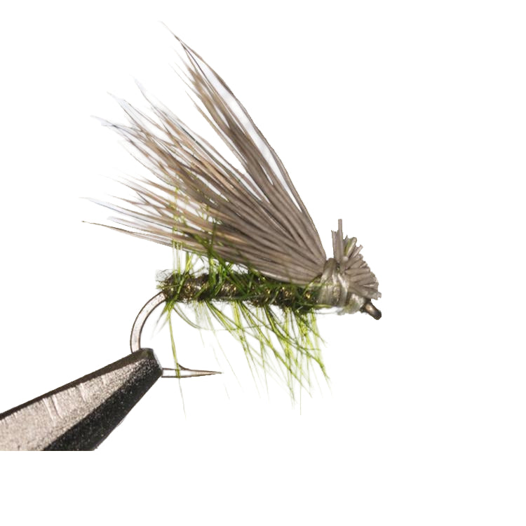 Elk Hair Caddis