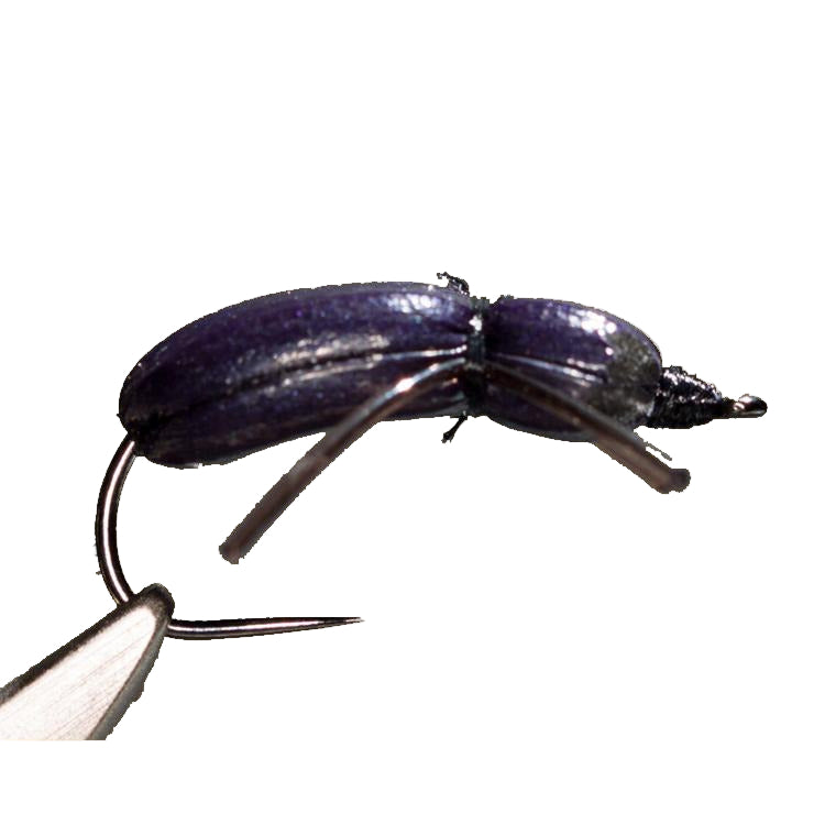Good-Doctors-Beetle-Foam-Over-Foam-08-Purple-2.jpg