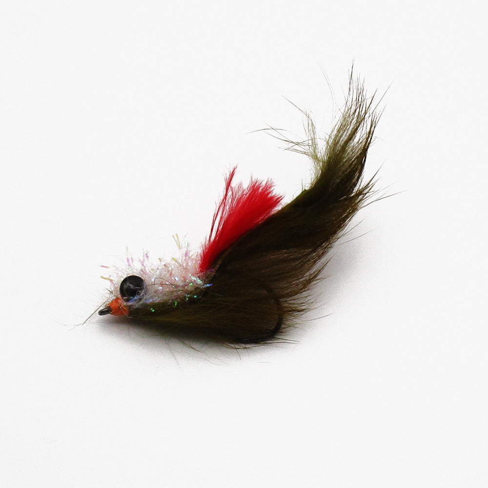 MSP Bait Fish