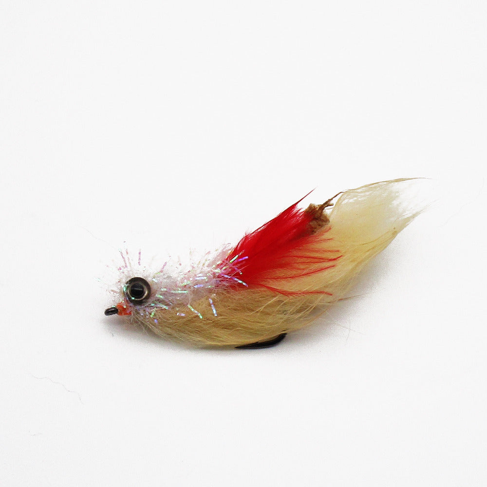 MSP Bait Fish
