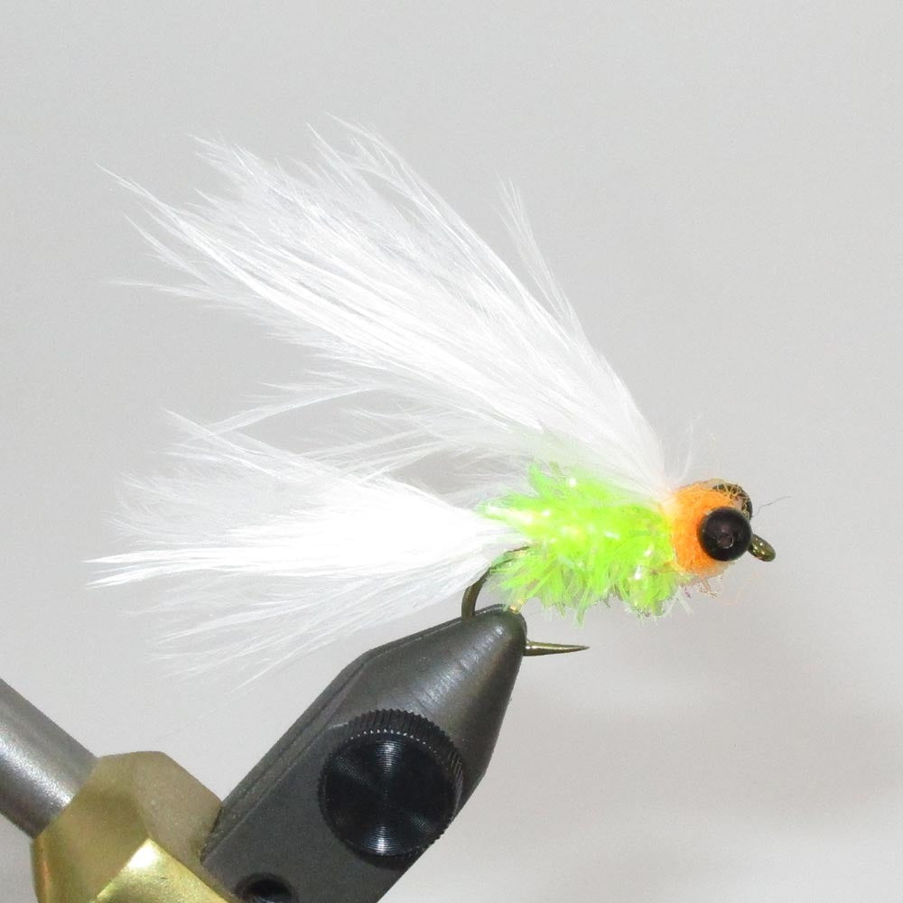 Cats Whiskers Fly
