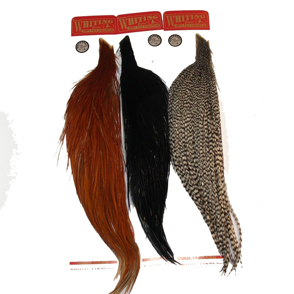 whiting-bronz-half-cape-cov.jpg