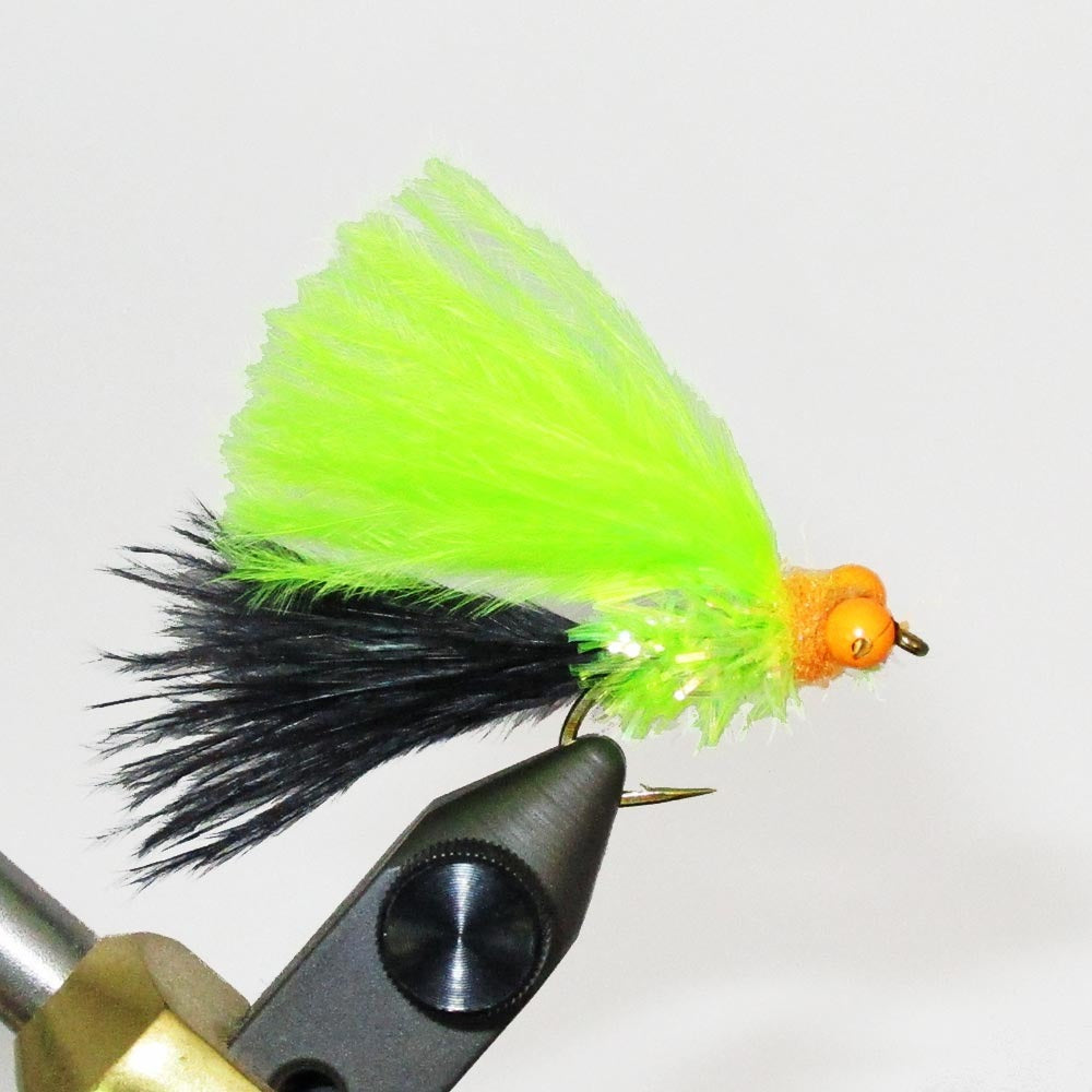 Cats Whiskers Fly
