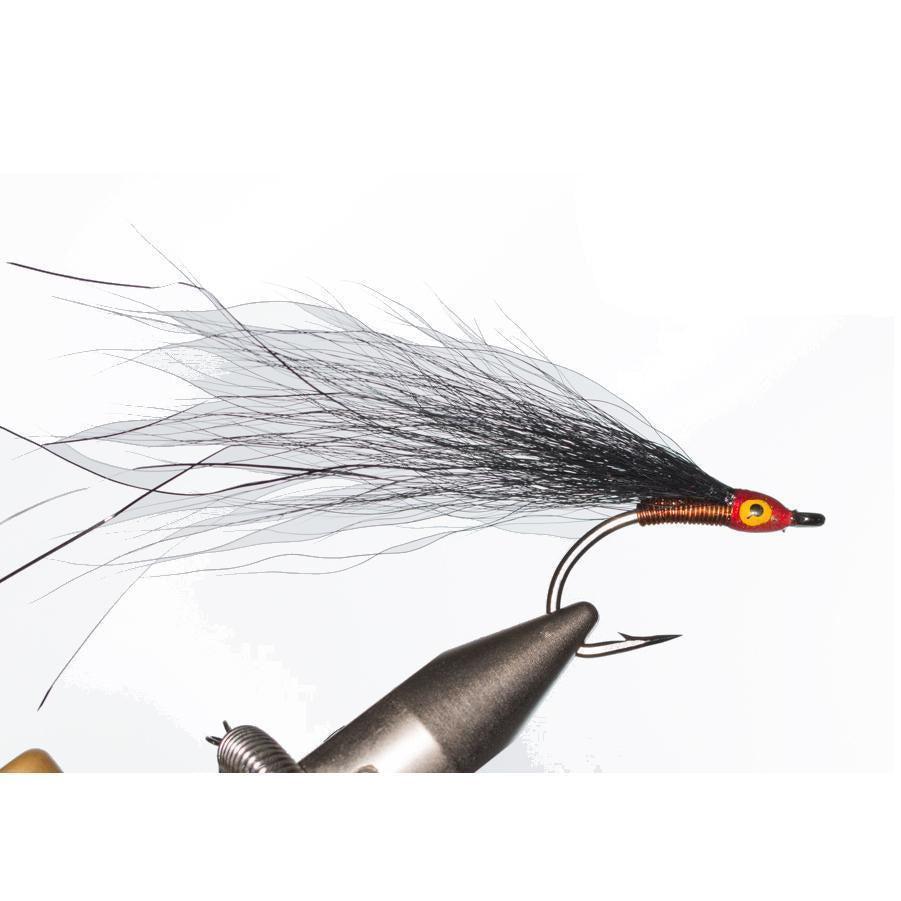 Tigerfish Copper Blonde