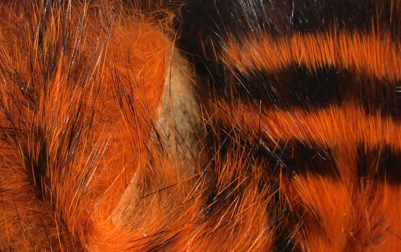 Hareline Black Barred Magnum Rabbit Strips