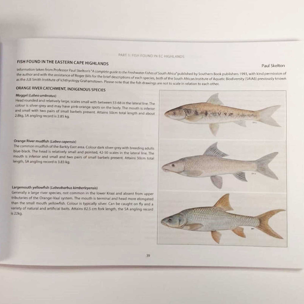 Wild Trout Association Guide Book