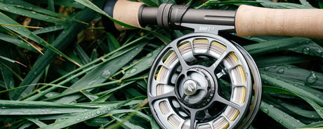 Sage Shift LT Reel Review