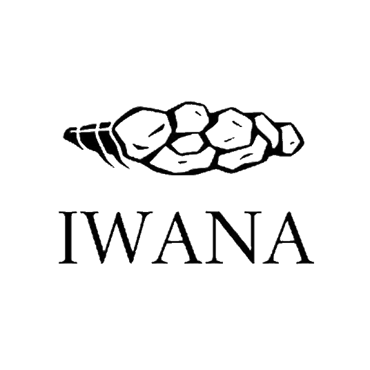 Iwana Fly Reels