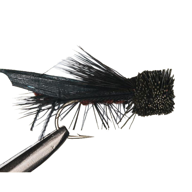 Cricket  fishing fly black