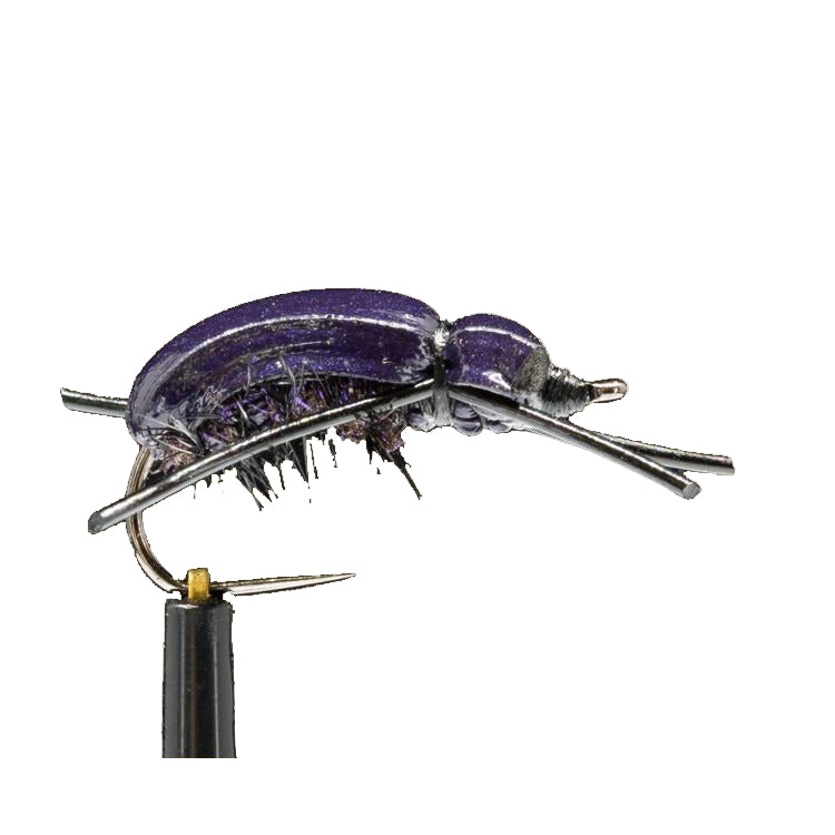Good-Doctors-Beetle-Original-08-Purple-2.jpg