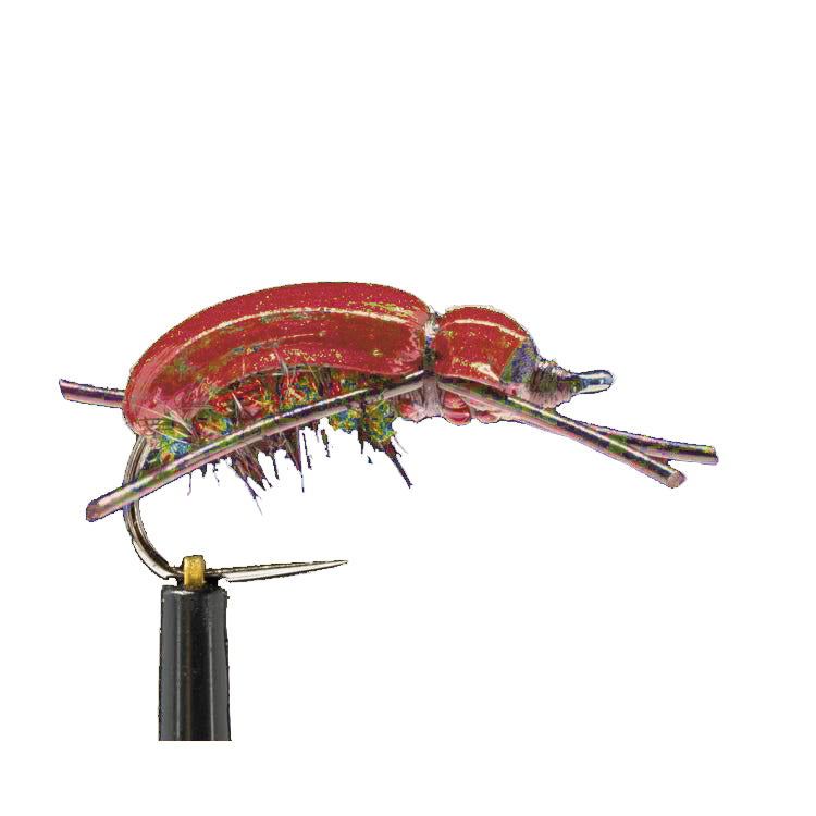Good-Doctors-Beetle-Original-08-Copper-2.jpg