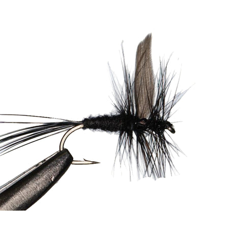 Black Gnat Fishing Fly