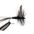 Black Gnat Fishing Fly