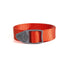 Fishpond King Webbing Belt Coral
