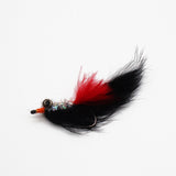 MSP Bait Fish
