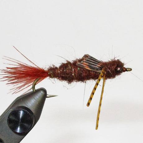 lake-dragon-brown-2.jpg