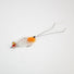 Saltwater Fly Fishing Spawning Shrimp