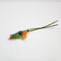 Spawning Shrimp Fishing Fly