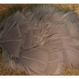 Natures-Spirit-Turkey-Flats.jpg