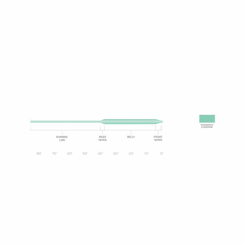 Scientific Anglers Frequency Intermediate