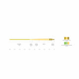 Scientific Anglers Amplitude Smooth Infinity