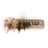 Tacky Fly Dock 2.0