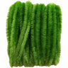 #2 Chenille