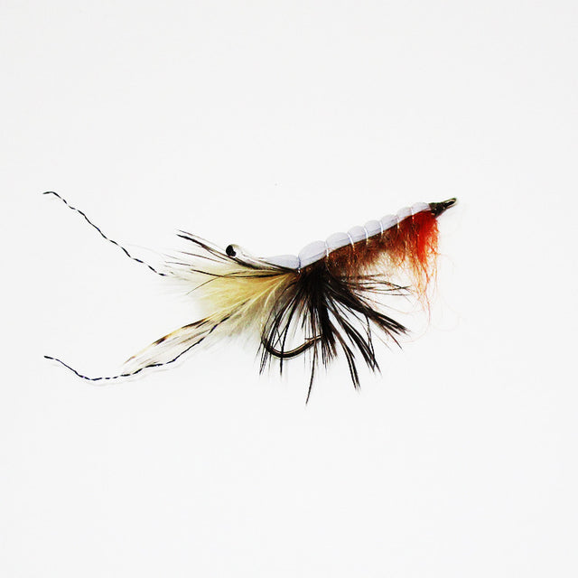 Floating Prawn