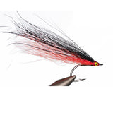 Tigerfish Copper Blonde