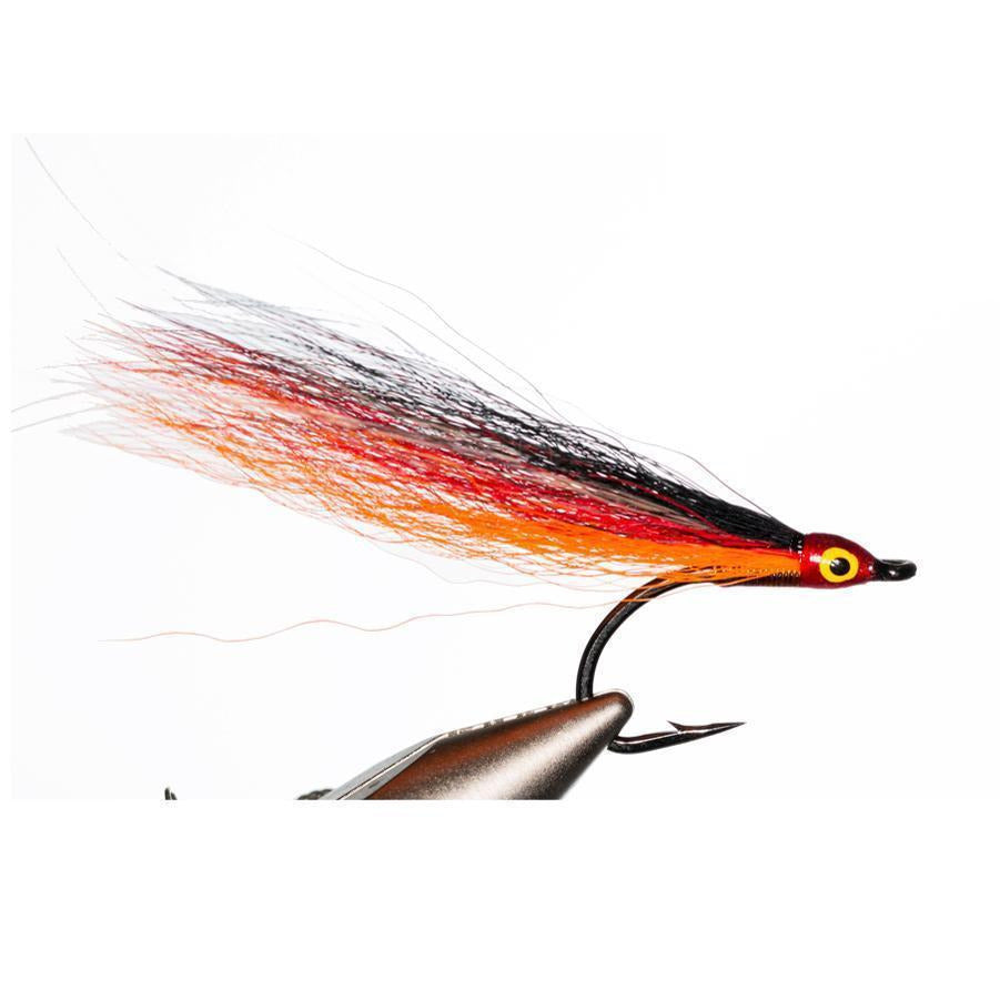 Tigerfish Copper Blonde