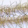 Lively Leg Brush