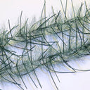 Lively Leg Brush