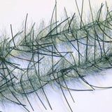 Lively Leg Brush