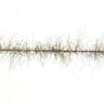Nymph Dubbing Flash Brush