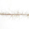 Nymph Dubbing Flash Brush