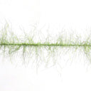 Nymph Dubbing Flash Brush