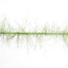 Nymph Dubbing Flash Brush