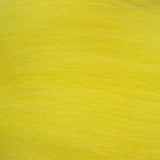 Snowrunner Nayat Hair Brush