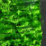 Medium Chenille