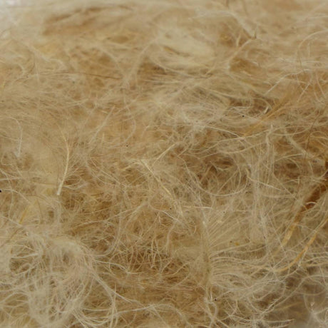 TroutHunter CDC Dubbing