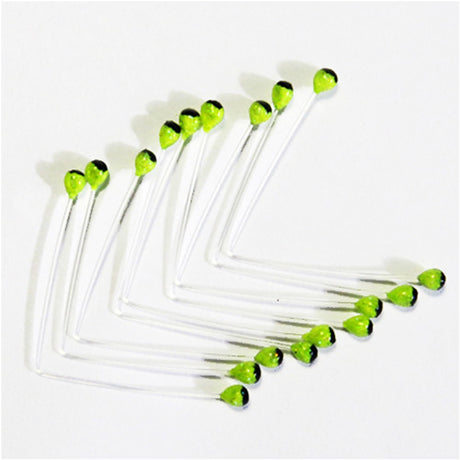 Shrimp and Crustacean Eyes