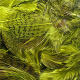 Hareline Hungarian Partridge Feathers