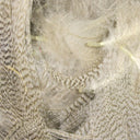 Hareline Mallard Flank Feathers