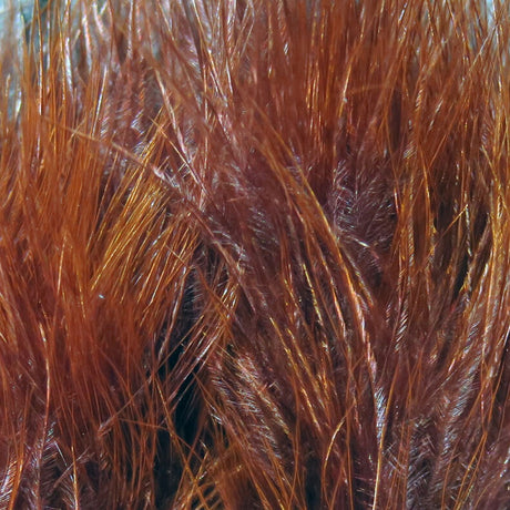 Hareline Marabou Blood Quills
