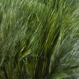 Hareline Marabou Blood Quills
