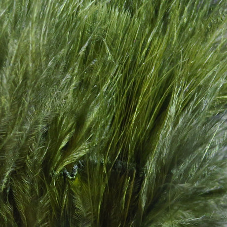 Hareline Marabou Blood Quills