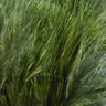 Hareline Marabou Blood Quills