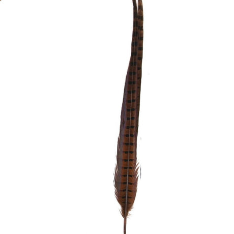 Hareline Ringneck Pheasant Tail Feathers